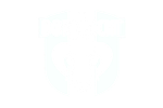 logo FC Dordrecht